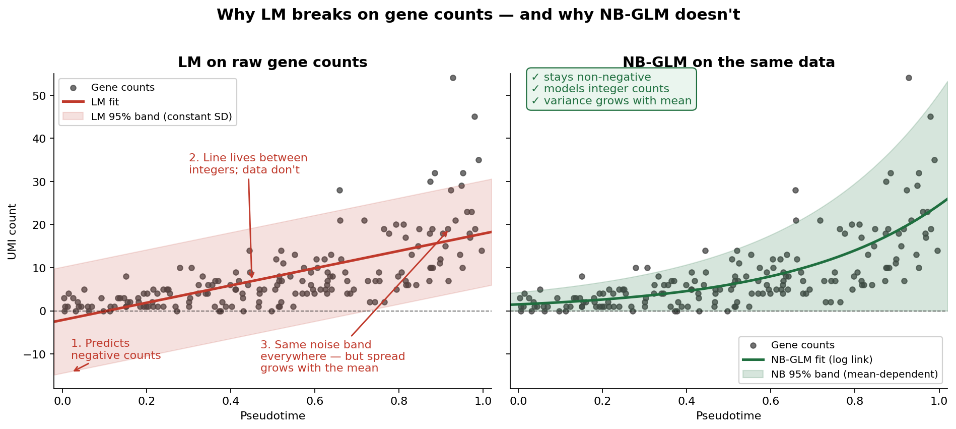 LM vs NB-GLM comparison