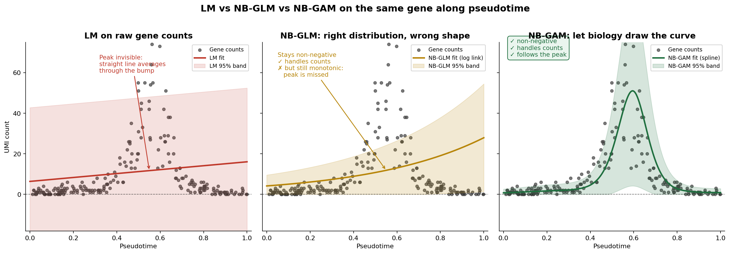 LM vs NB-GLM vs GAM comparison